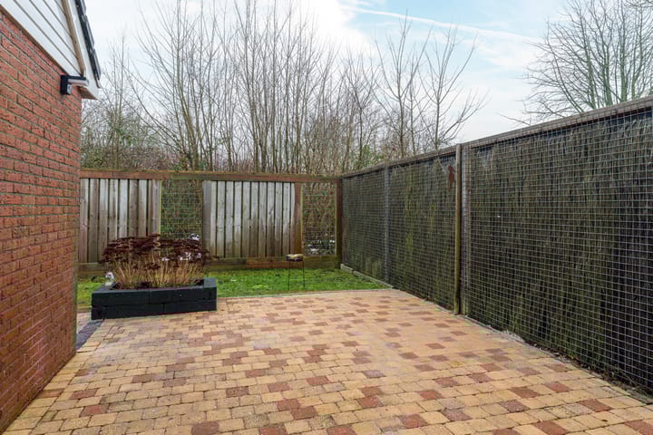 Foto 31 van Bruneel 29