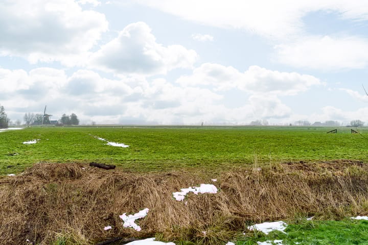 Foto 35 van Bruneel 29