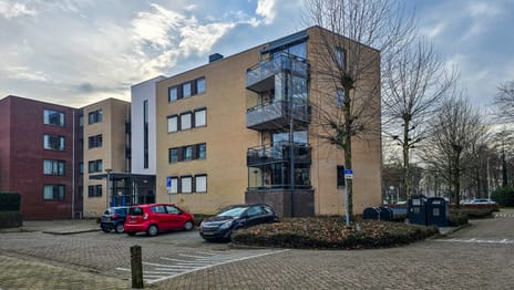 undefined main image