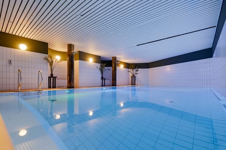 Leonard Springerhof 4 tertiary image