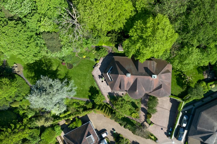 Foto 7 van Leonard Springerhof 4