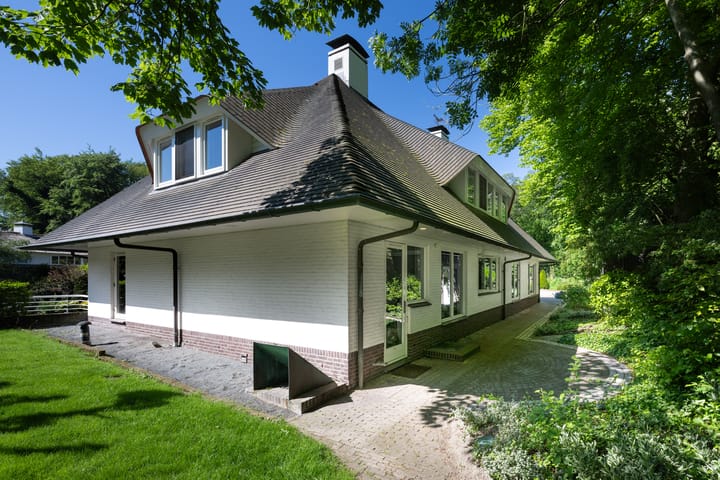 Foto 58 van Leonard Springerhof 4