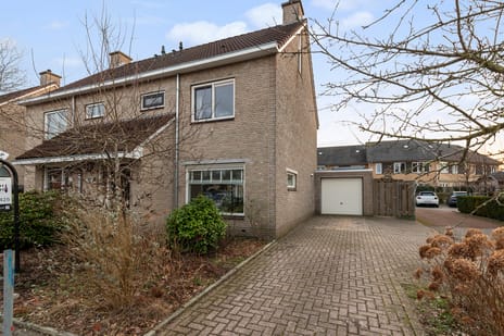 undefined main image