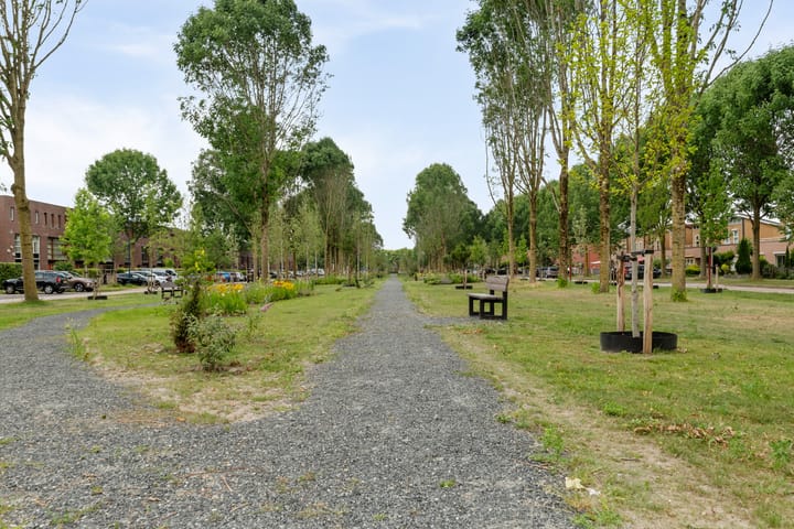 Foto 45 van Rijnland 42