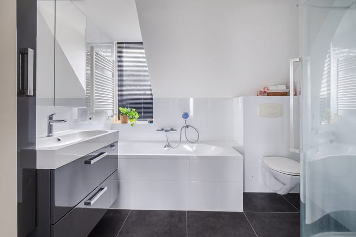 Photo 3 of Schapendries 21