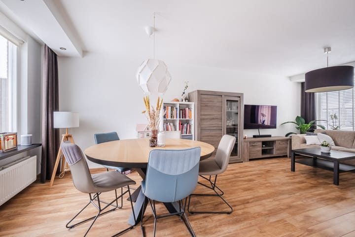 Photo 9 of Schapendries 21