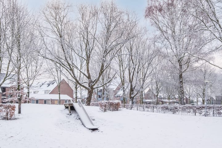 Photo 28 of Schapendries 21