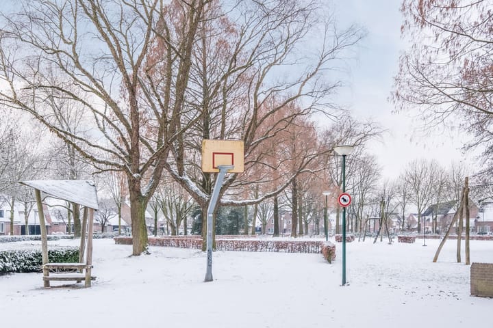 Photo 29 of Schapendries 21