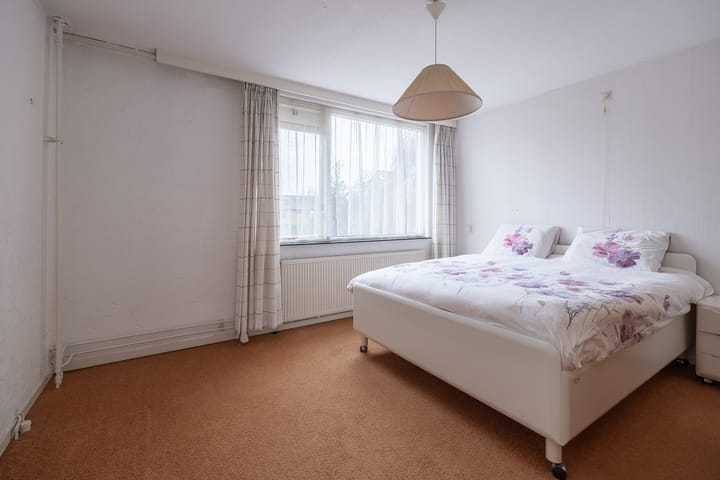 Foto 16 van Scholekster 28