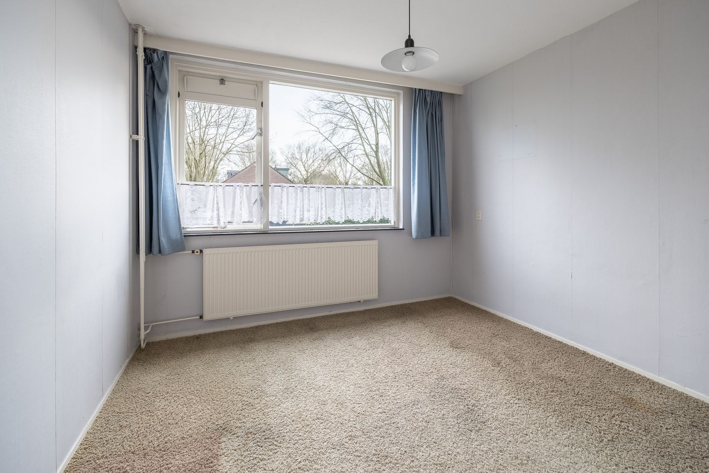 Foto 25 van Scholekster 28