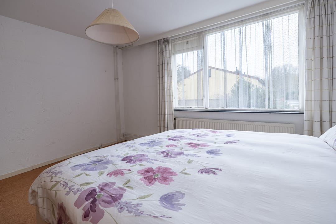 Foto 22 van Scholekster 28