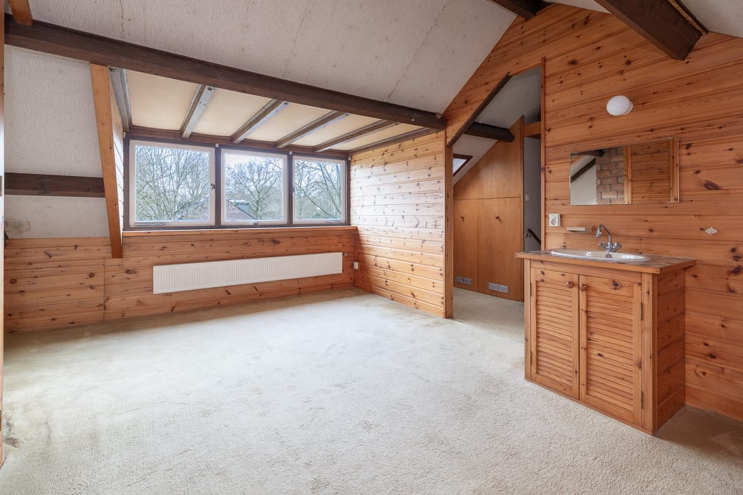 Foto 31 van Scholekster 28