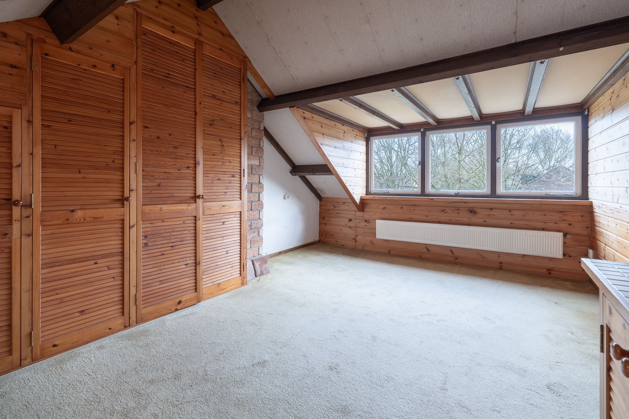 Foto 33 van Scholekster 28