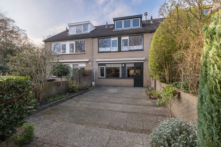 Foto 36 van Scholekster 28