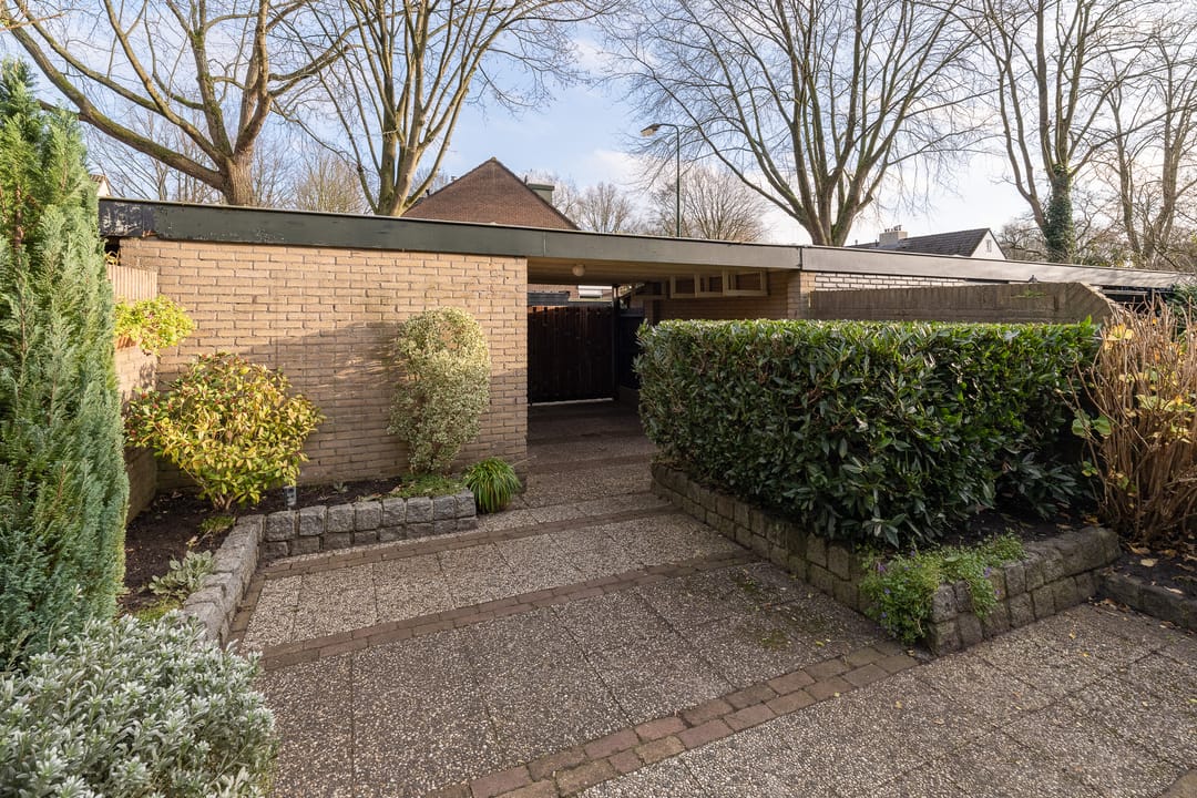 Foto 41 van Scholekster 28