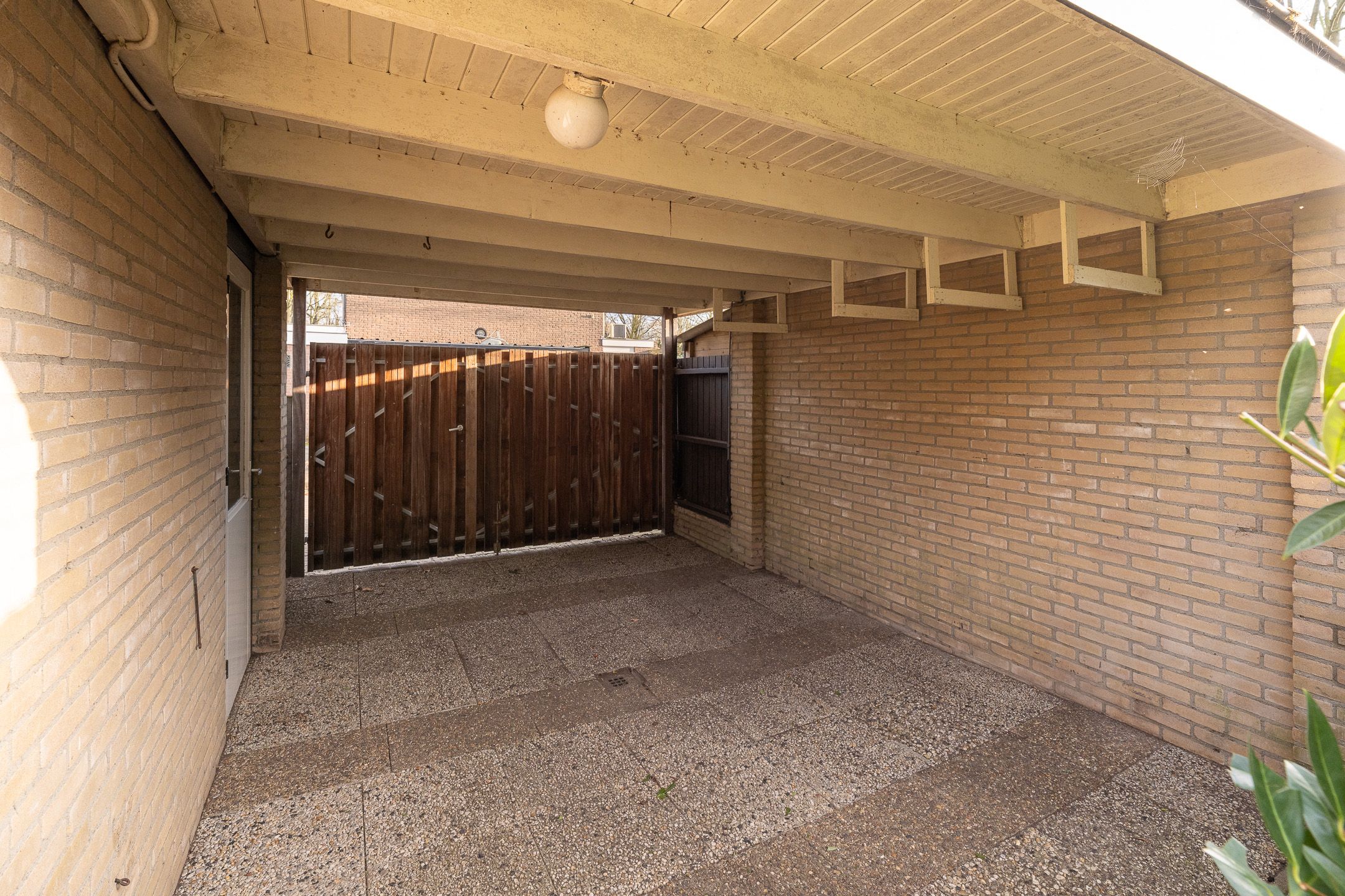 Foto 42 van Scholekster 28