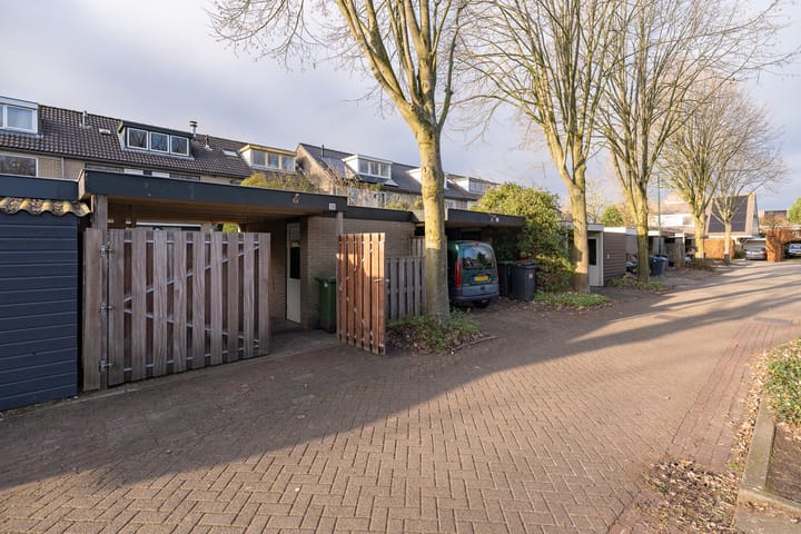 Foto 41 van Scholekster 28