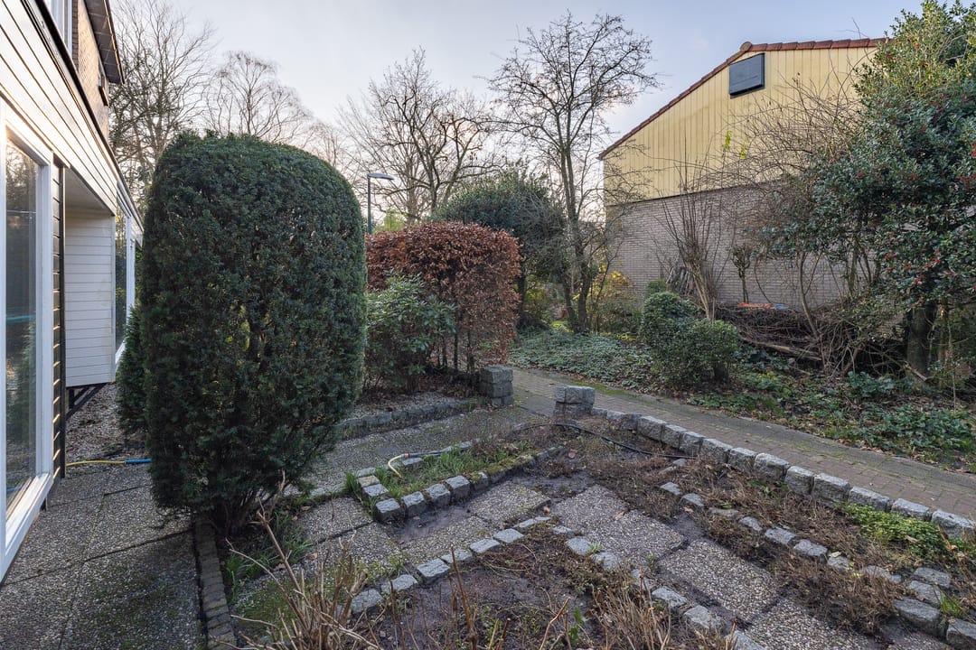 Foto 46 van Scholekster 28