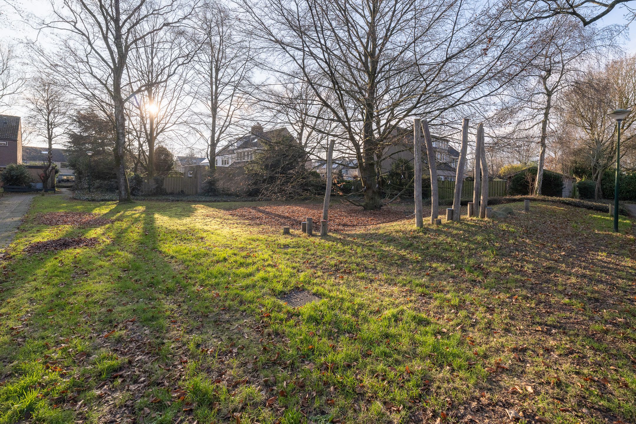 Foto 48 van Scholekster 28