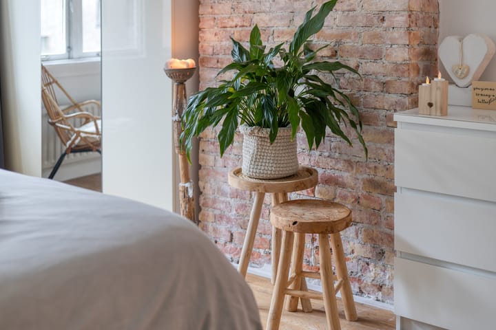 Foto 55 van Vincentiusstraat 15