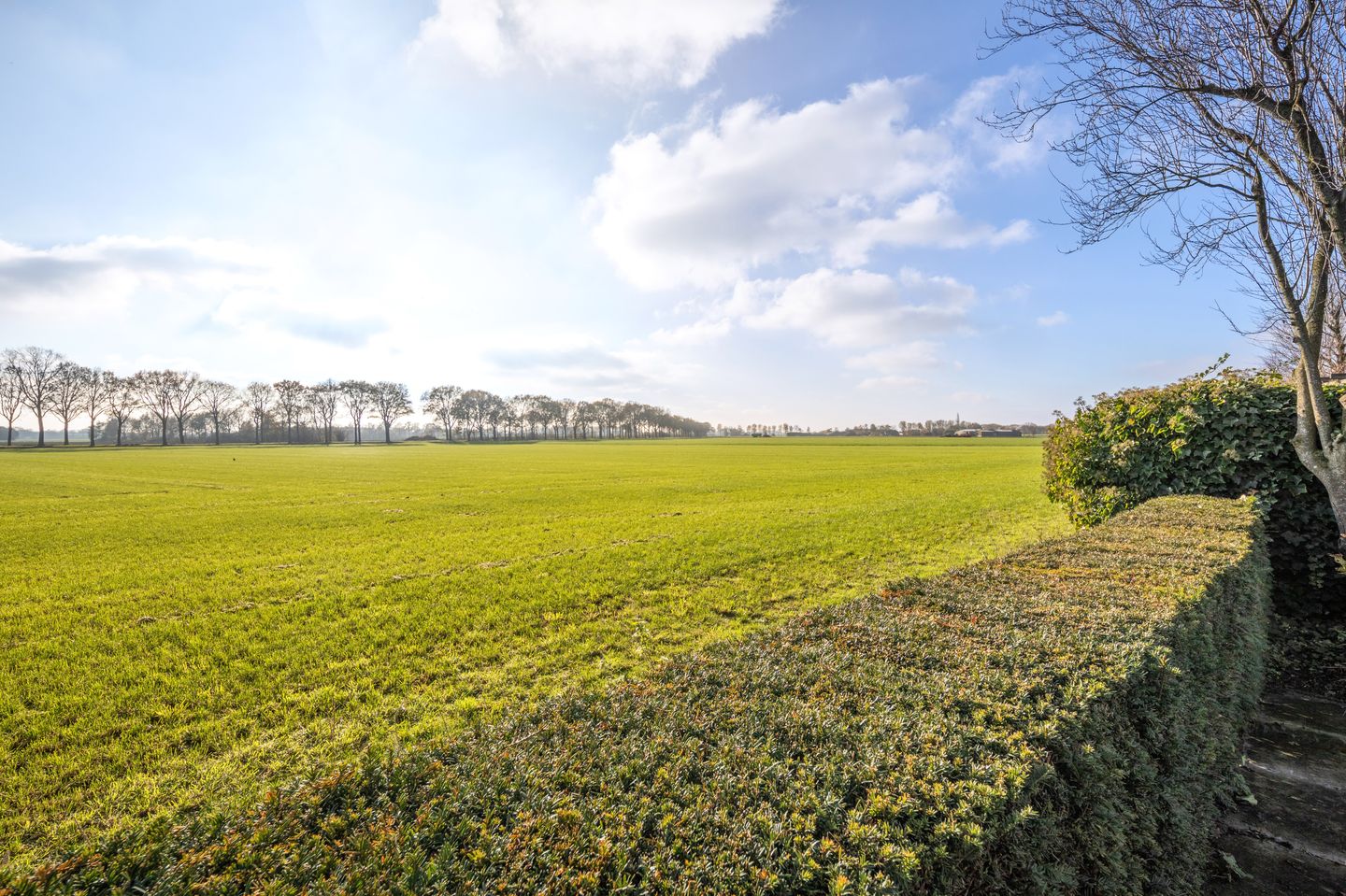 Foto 65 van Jasmijnberg 48