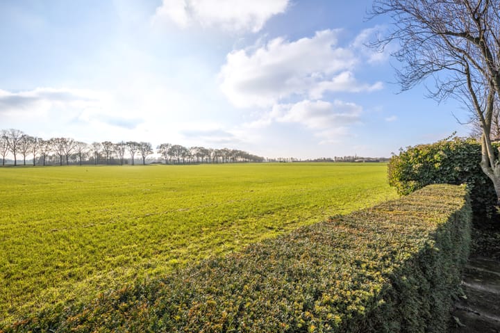 Foto 59 van Jasmijnberg 48