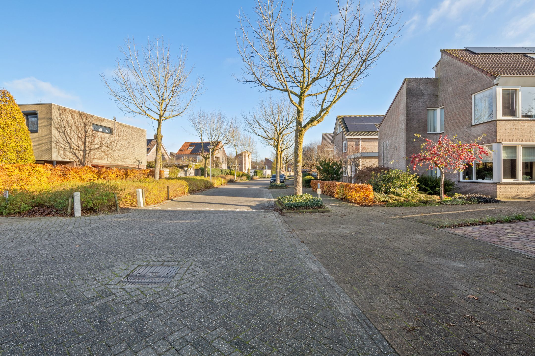 Foto 75 van Jasmijnberg 48