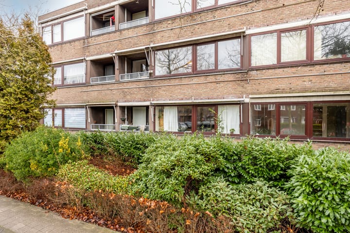 Foto 6 van Tesselschadeplein 14