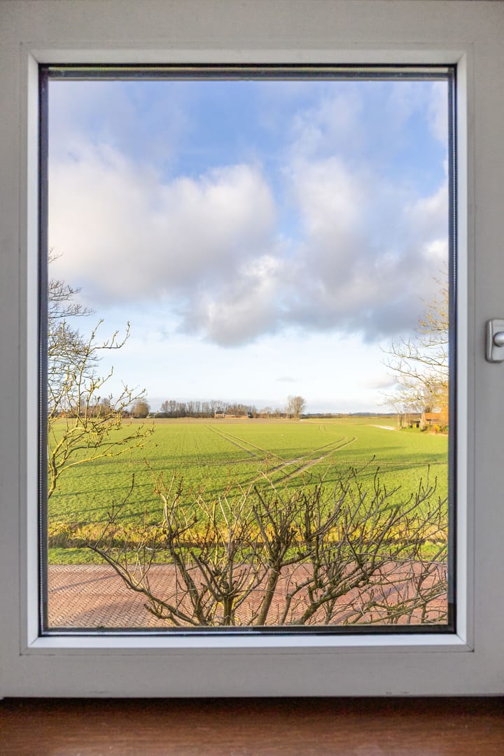 Foto 29 van Eiso Jargesstraat 21