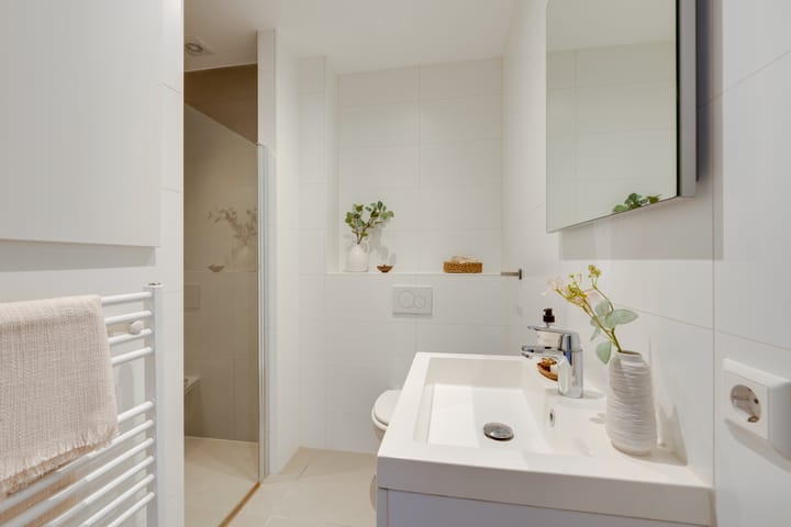 Foto 35 van Ruyschstraat 80-3