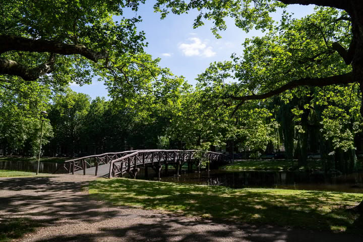 Foto 22 van Heemraadssingel 261-E