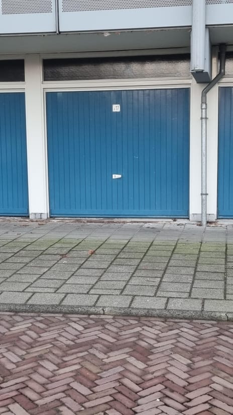 undefined main image