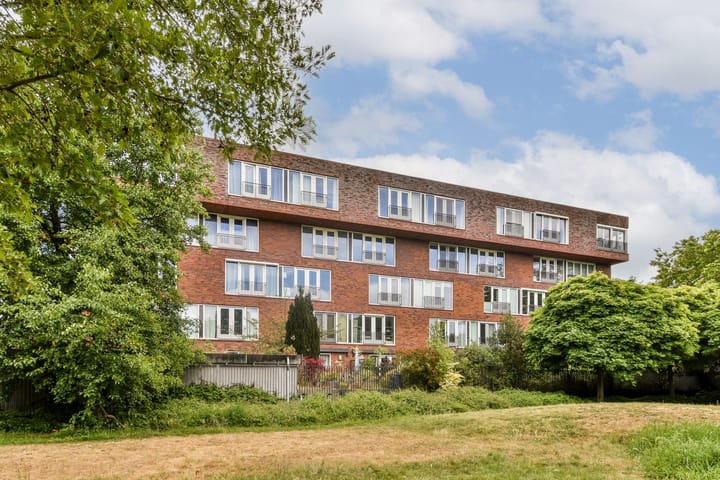 Foto 20 van Theodoor van Hoytemastraat 37