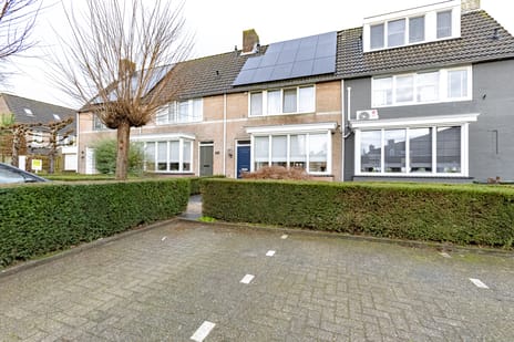 undefined main image