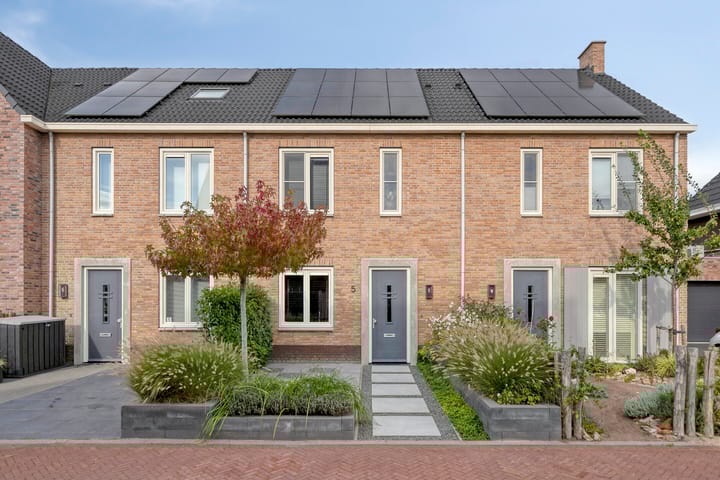 Witvlas 5 main image