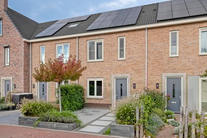 Photo 4 of Witvlas 5