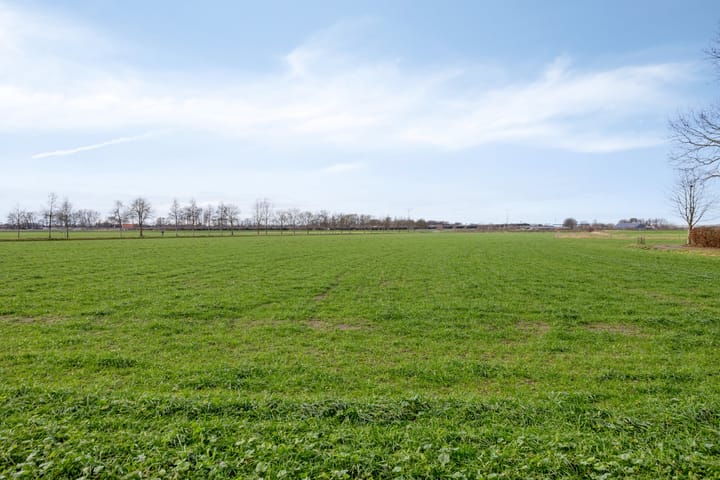 Foto 35 van Kattenstaart 18