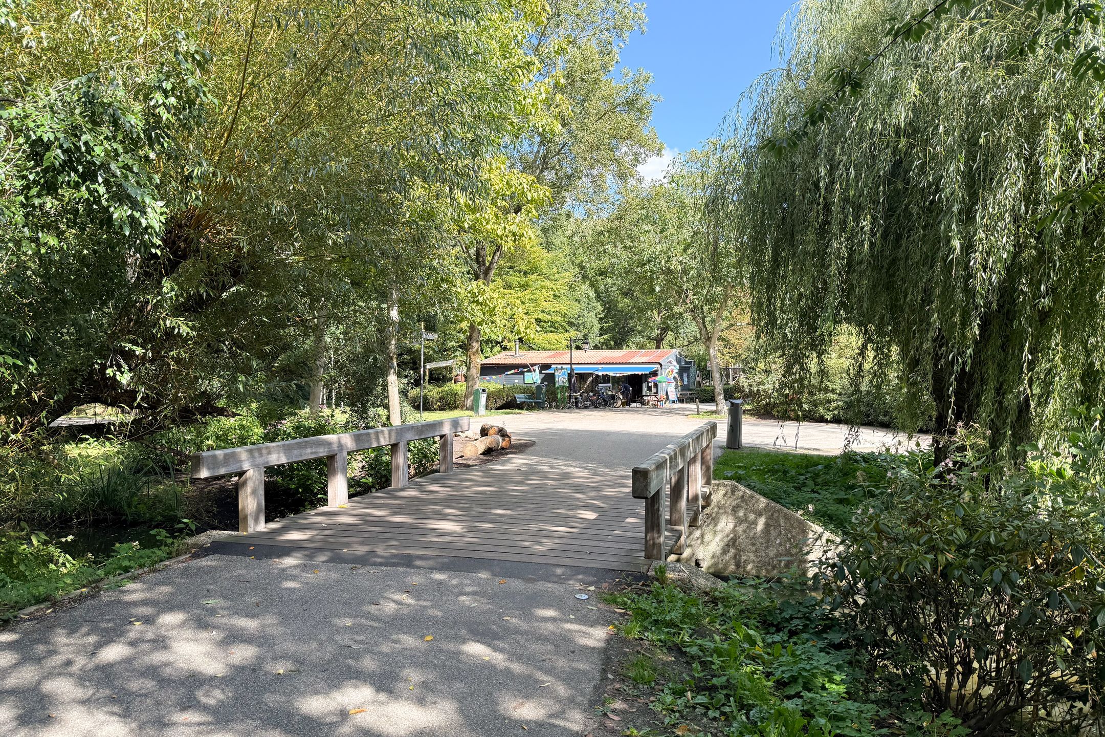 Foto 21 van Riouwstraat 103-C