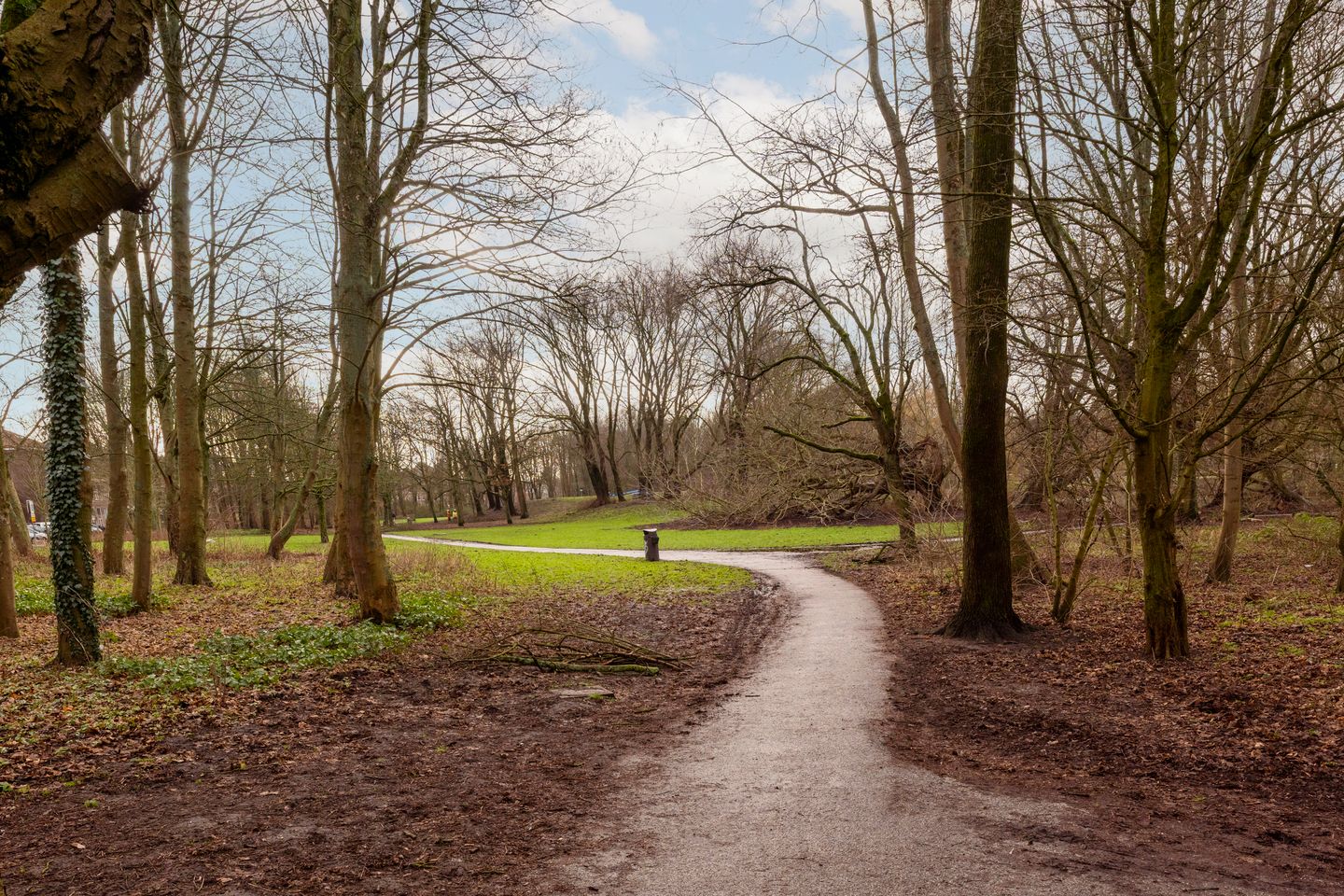 Foto 35 van Orteliusstraat 98-3