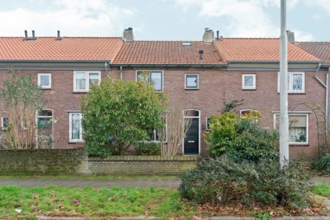 Bosbesstraat thumbnail