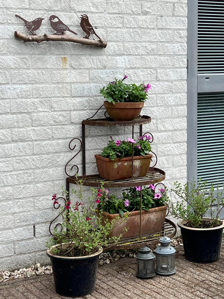 Foto 31 van Heidezoom 15