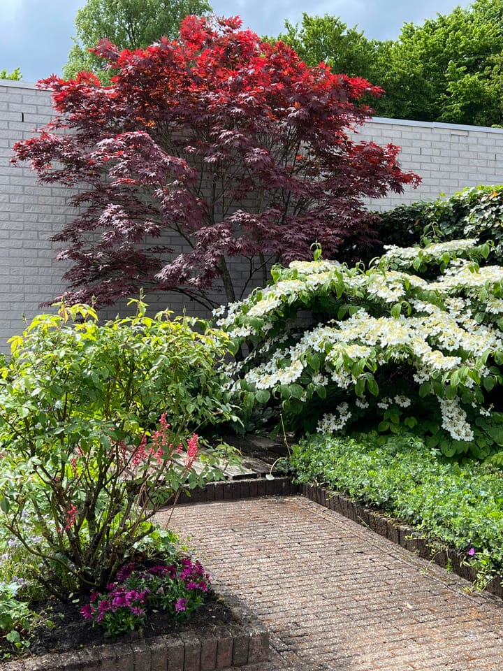 Foto 30 van Heidezoom 15