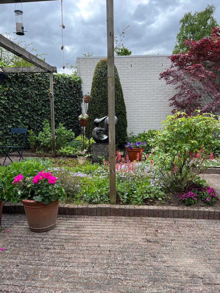 Foto 32 van Heidezoom 15