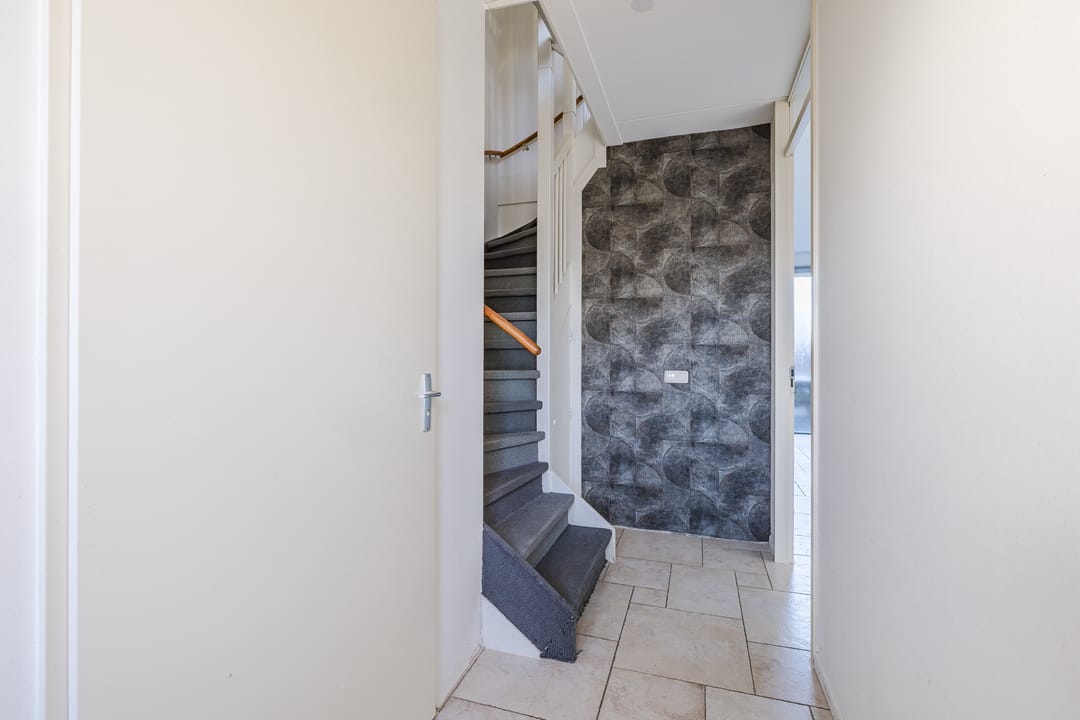 Foto 8 van Keizersmantel 60