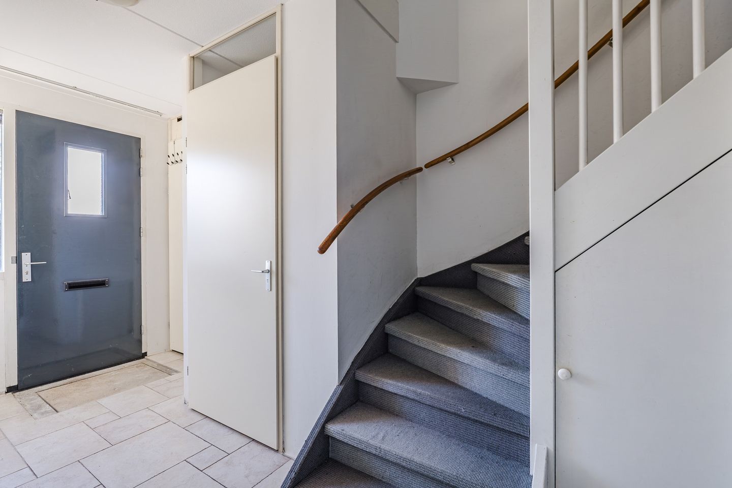 Foto 10 van Keizersmantel 60