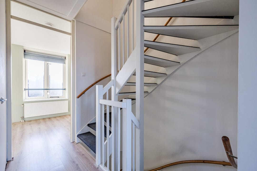 Foto 11 van Keizersmantel 60