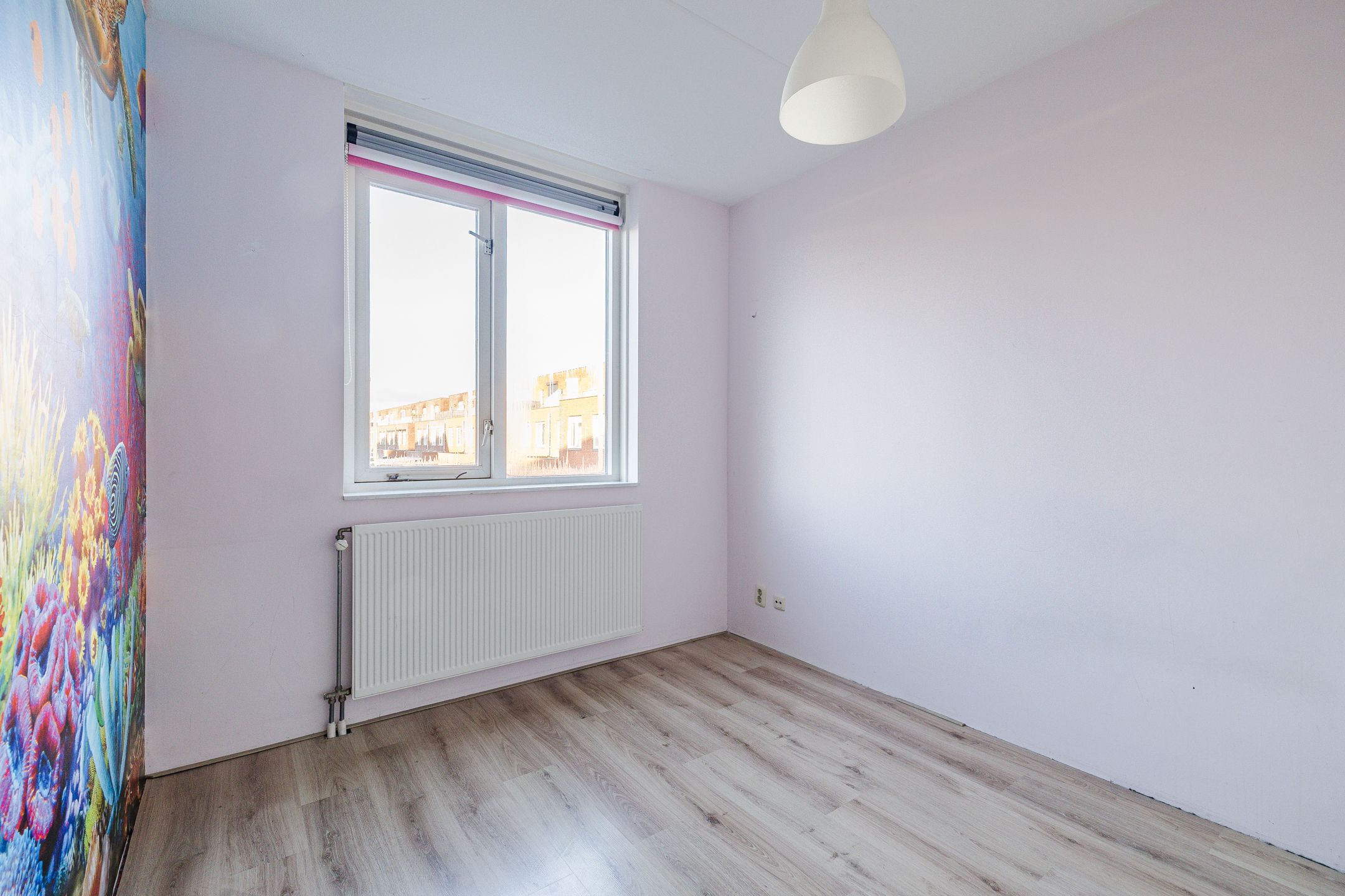 Foto 15 van Keizersmantel 60