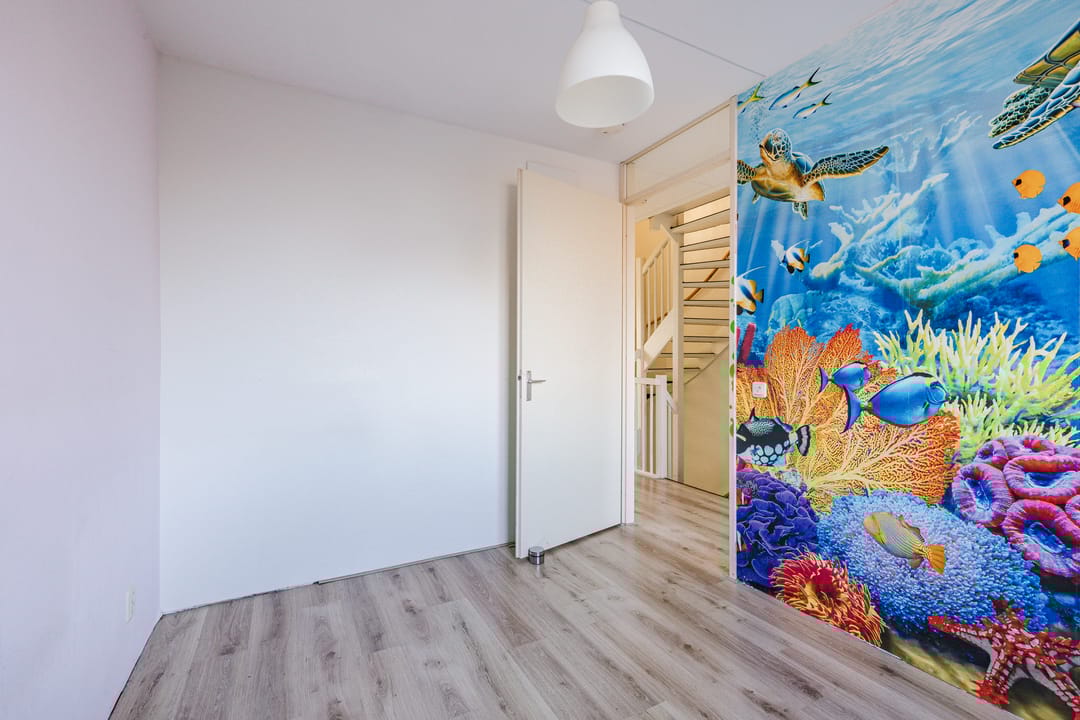 Foto 16 van Keizersmantel 60