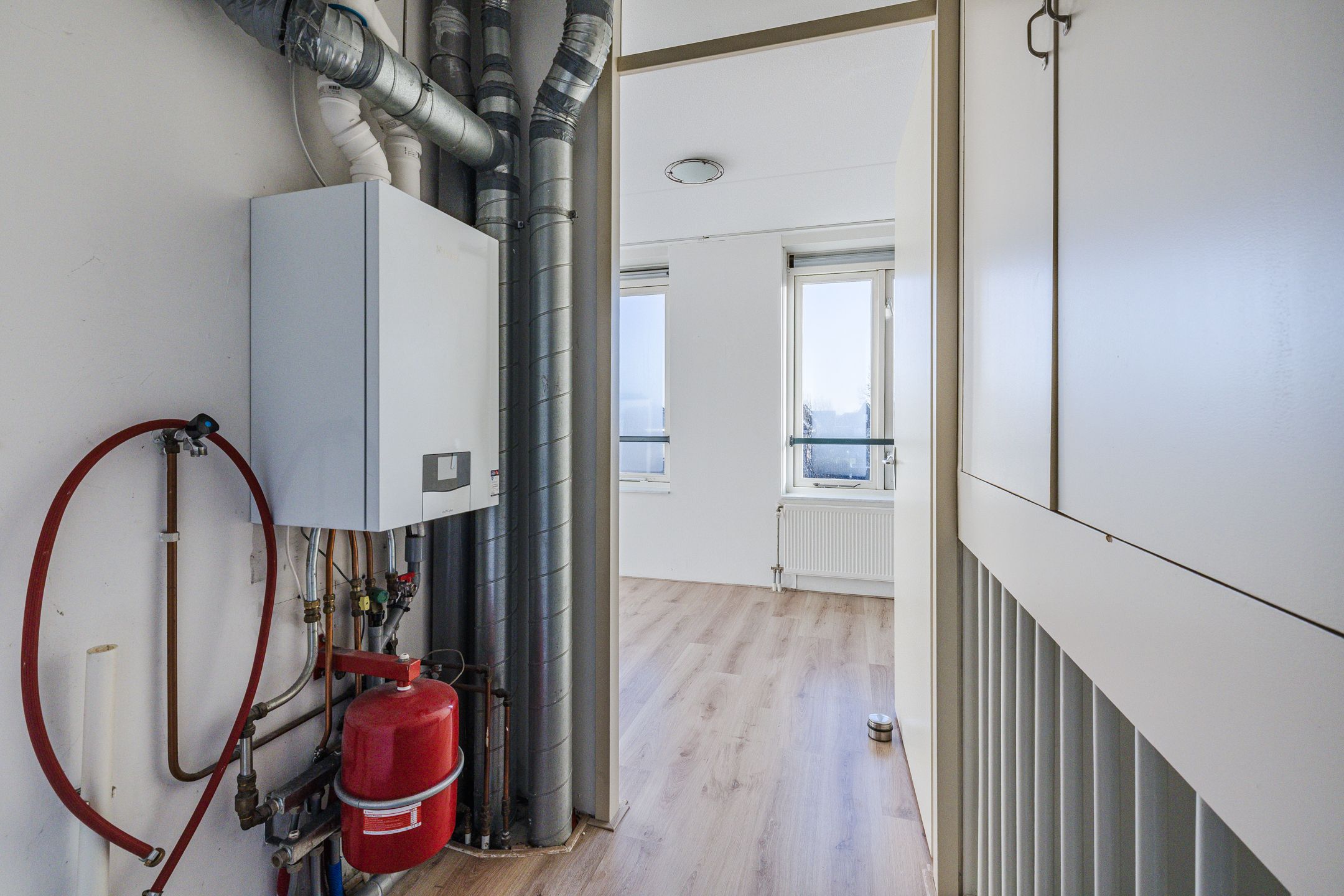 Foto 27 van Keizersmantel 60