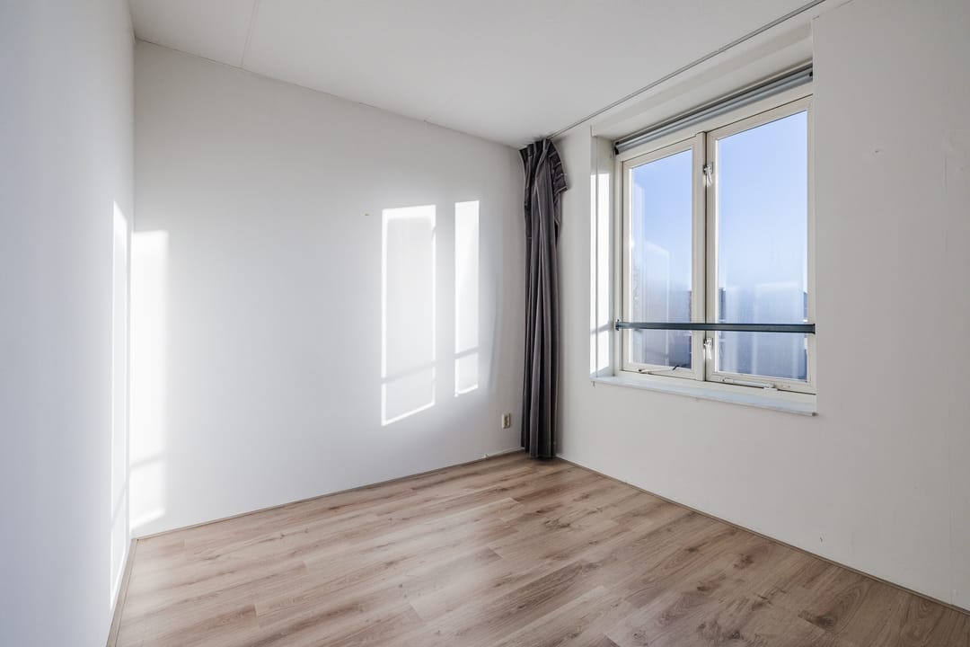 Foto 28 van Keizersmantel 60